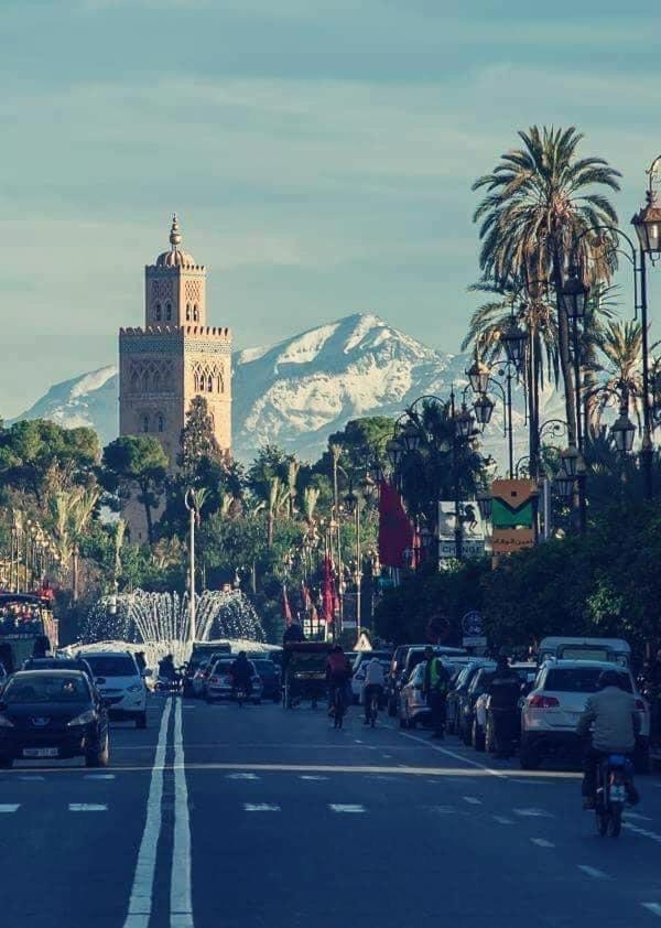 Authentic Moroccan Charm Apartment In Marrakech Terrace Marrakesh Buitenkant foto