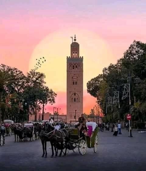 Authentic Moroccan Charm Apartment In Marrakech Terrace Marrakesh Buitenkant foto